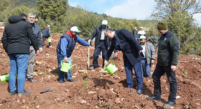 Korkuteli de 2 bin fidan toprakla buluştu