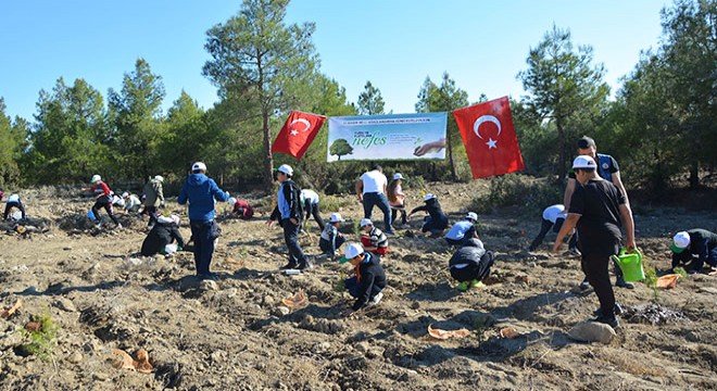 Korkuteli fidan dikti