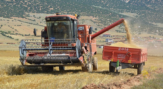 Korkuteli nde hasat başladı