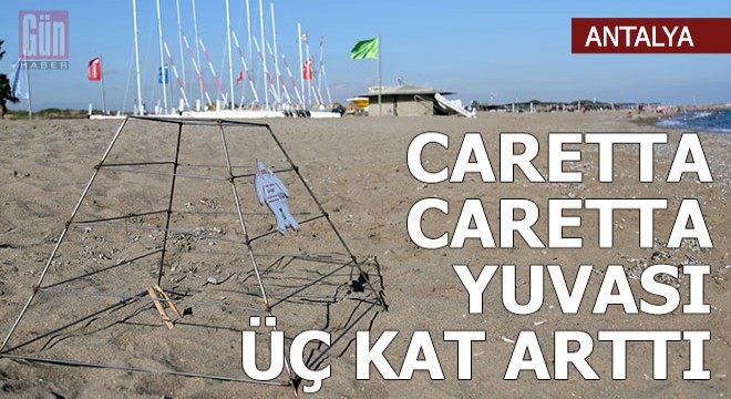 Korona sürecinde 'caretta caretta' yuvası üç kat arttı
