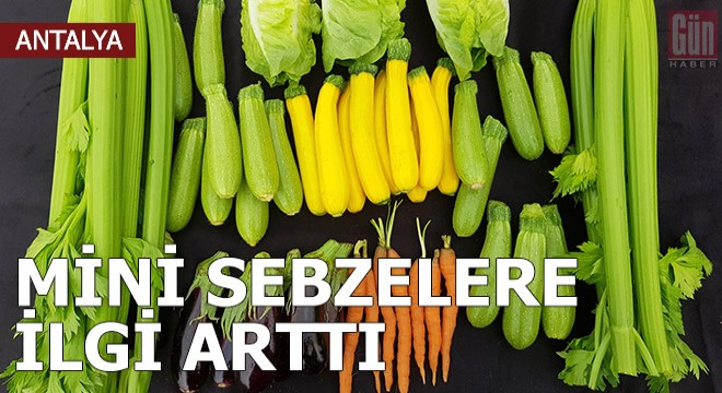 Korona sürecinde mini sebzelere ilgi arttı