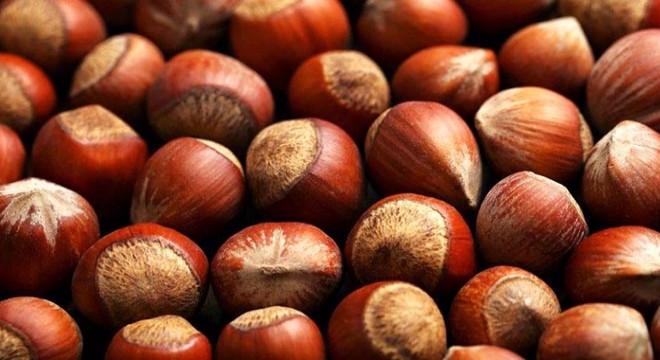 Koronavirüs fındık fiyatlarını etkiledi