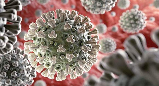 Koronavirüs hakkında çıkan haber sayısı 20 milyona yaklaştı