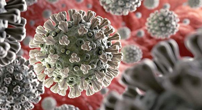 Koronavirüs hakkında çıkan haber sayısı 25 milyonu geçti
