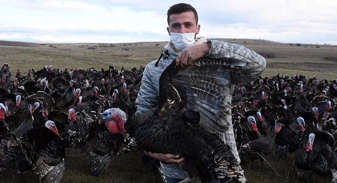 Koronavirüs, hindi satışlarını etkilemedi