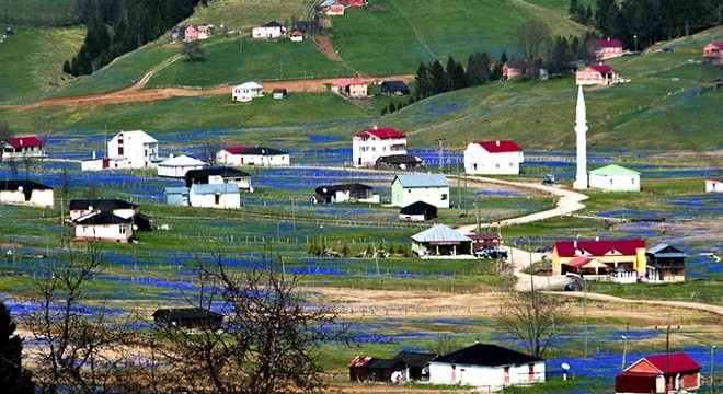 Koronavirüs nedeniyle 'Mor Yayla'ya ziyaretçi yasağı