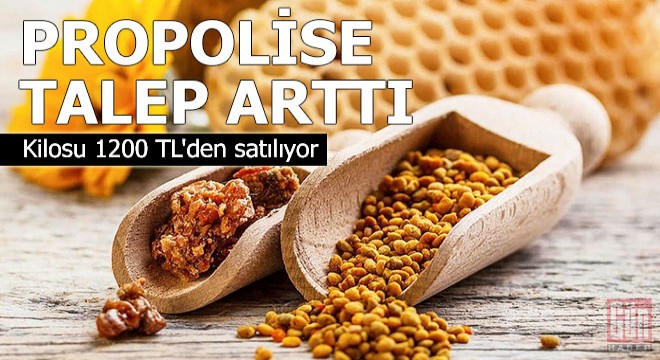 Koronavirüs sonrası propolise talep arttı