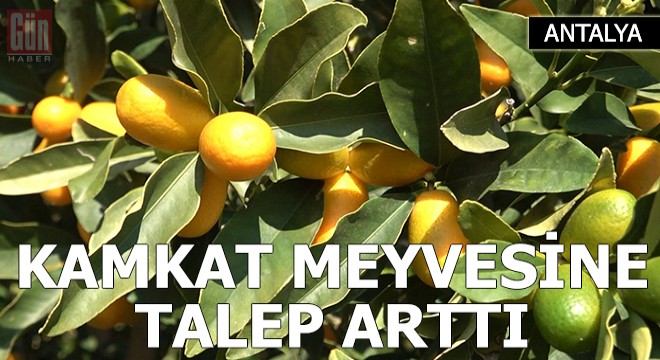 Koronavirüs sürecinde kamkata talep arttı