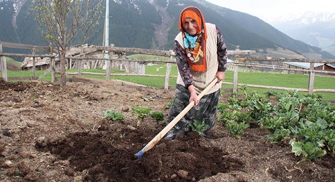 Koronavirüs vakası görülmeyen yaylada yaşıyorlar