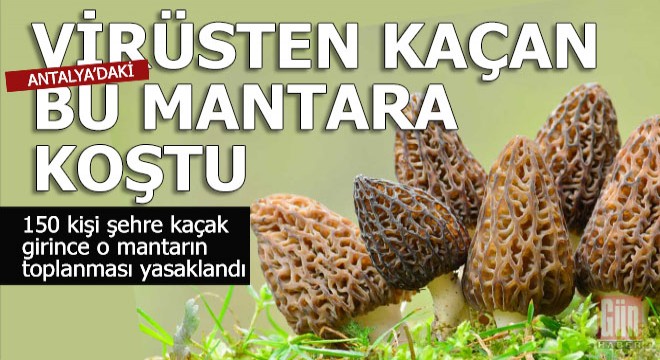 Koronavirüsten kaçan Antalya'daki bu mantara koştu
