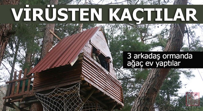 Koronavirüsten korunmak için yaptıkları ağaç evde kalıyorlar