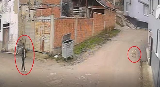 Kovaladığı köpeği tüfekle öldürdü; o anlar kamerada