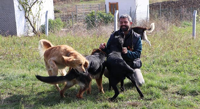 Köye yerleşerek, 'köpek oteli' kurdular