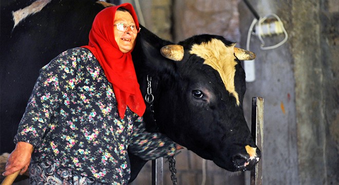 Köylünün Havva anası