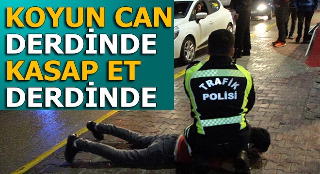 Alkollü ve ehliyetsiz sürücünün arkadaşı içkileri almaya çalıştı