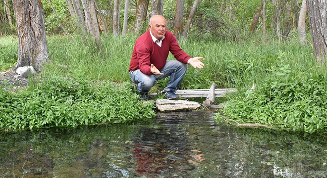 Köyün her tarafından yer altı suyu çıkıyor