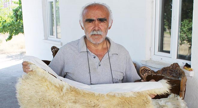 Koyun derilerini işleyerek çoban kürkü yapıyor