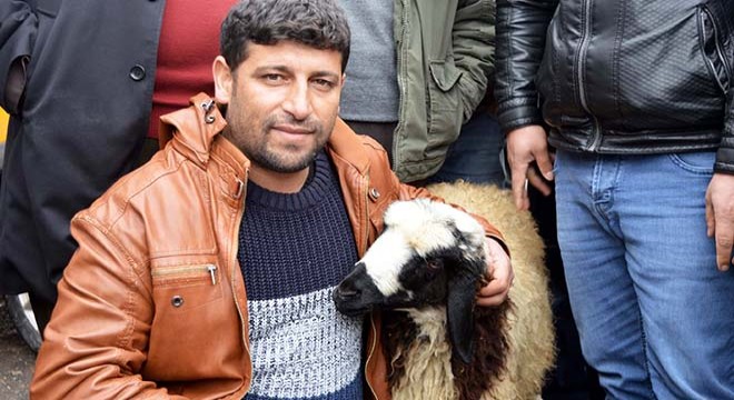 Koyunu peşini bırakmayınca, satmaktan vazgeçti