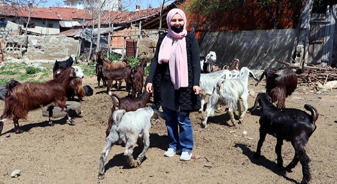 Kuaförlüğü bırakıp, hayvancılığa başladı