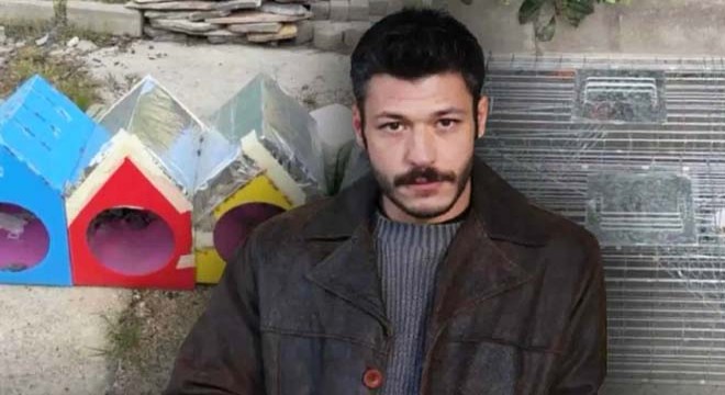 Kubilay Aka’dan sert çıkış:  Kedileri kapanla toplamışlar 