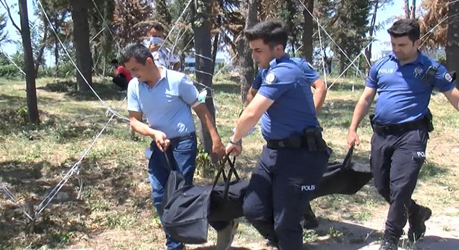 Küçükçekmece'de ağaca asılı halde bulundu
