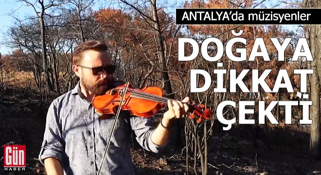 Küle dönen ormanda doğaya dikkat çektiler