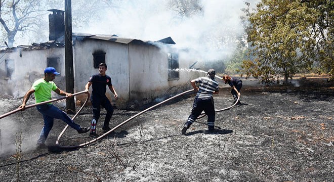 Kullanılmayan ev ve zeytin ağaçları, yangında zarar gördü
