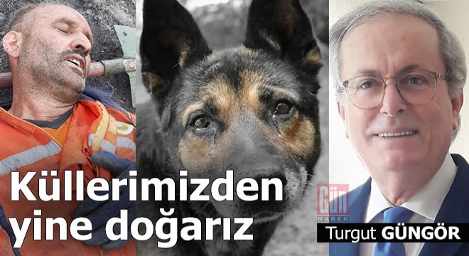 Küllerimizden yine doğarız