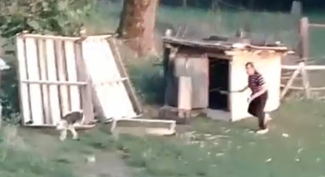 Kümesine giren köpeği sopa ile dövdü