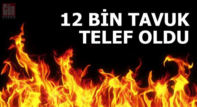 Kümeste çıkan yangında 12 bin tavuk telef oldu