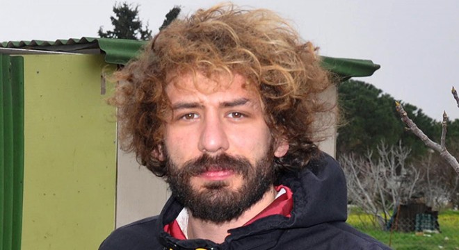 Kümesteki 45 tavuğu köpekler telef etti