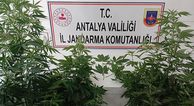 Kumluca'da eve uyuşturucu baskını