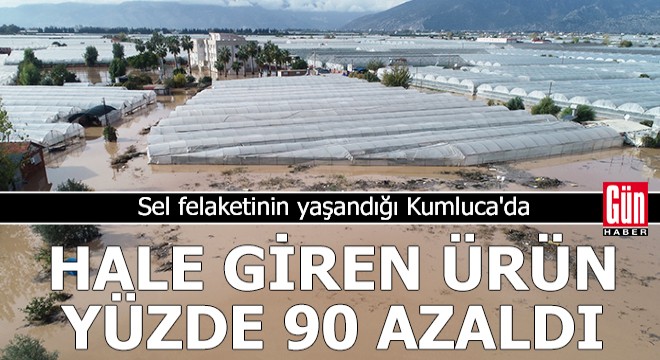 Kumluca'da hale giren ürün, yüzde 90 azaldı