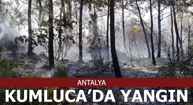 Kumluca'da orman yangını