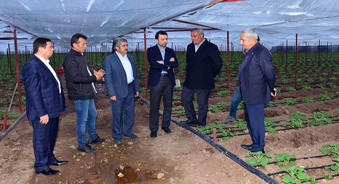 Kumluca'da seralar yeniden kuruldu