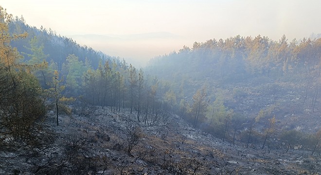 Kumluca'daki orman yangınının enerjisi düşürüldü