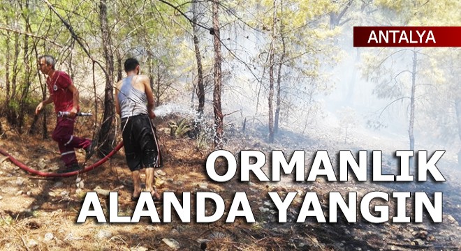 Kumluca da ormanlık alanda yangın