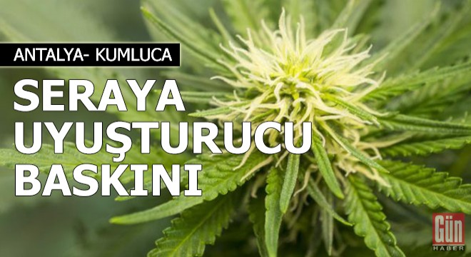 Kumluca da seraya uyuşturucu baskını