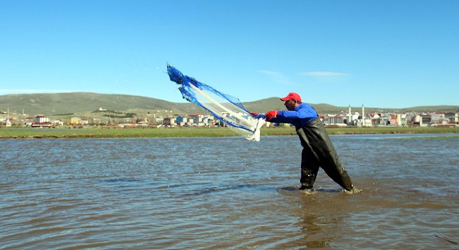 Kura Nehri taştı, Ardahan Ovası göle göndü