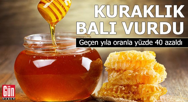 Kuraklık bal rekoltesini vurdu; yüzde 40 azaldı