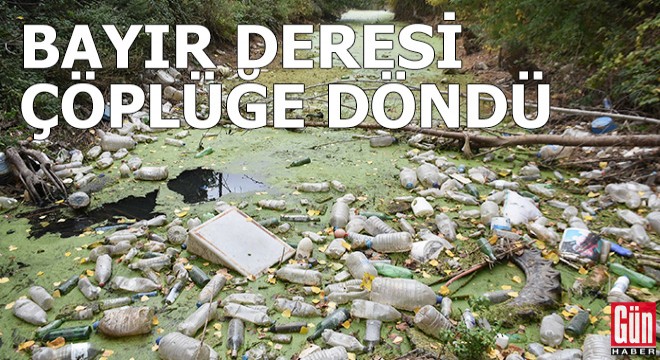 Kuraklıktan yeşile bürünen Bayır Deresi, çöplüğe döndü