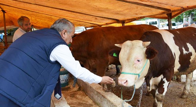 Kurban keserken cebinizdeki paradan olmayın