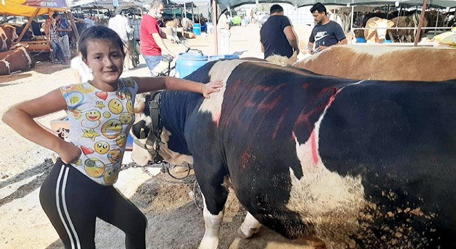 Kurban pazarında çocuğun sıkı pazarlığı kamerada