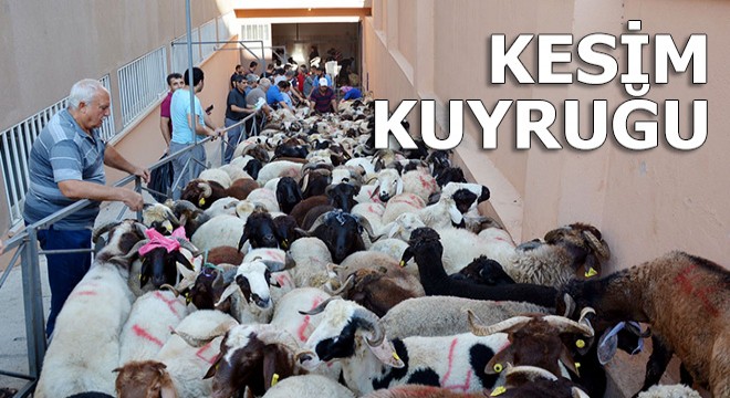 Kurbanlar kesim kuyruğunda