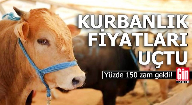 Kurbanlık fiyatları uçtu; yüzde 150 zam geldi!