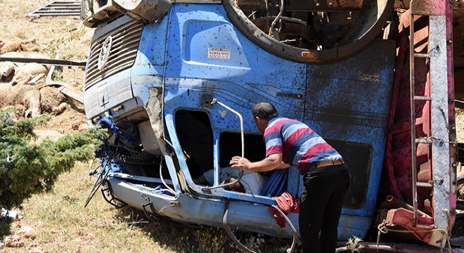 Kurbanlık yüklü kamyon şarampole devrildi: 3 yaralı