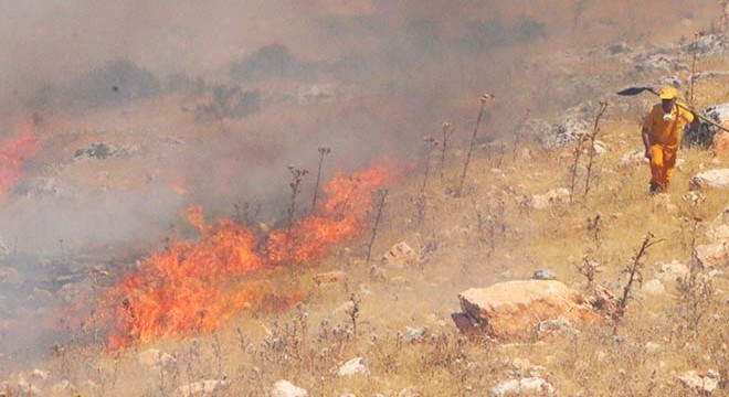 Kuru otlar tutuştu, alevler 2 hektar alanı etkiledi