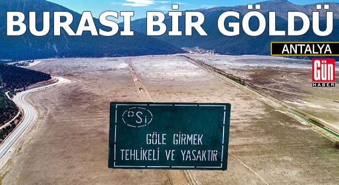 Kuruyan Avlan Gölü'nde, hayvanlar otluyor