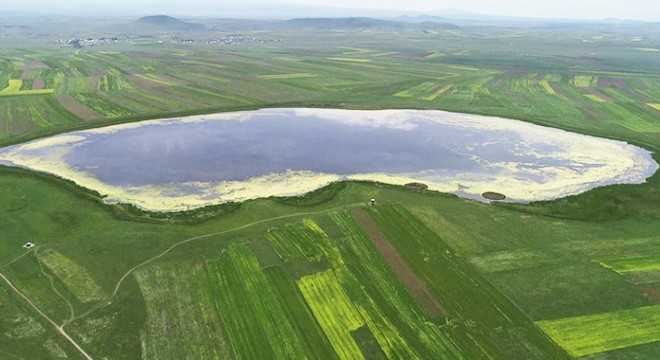 Kuruyan kuş cennetine 'can suyu'