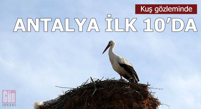 Kuş gözleminde Burdur ve Antalya ilk 10'da